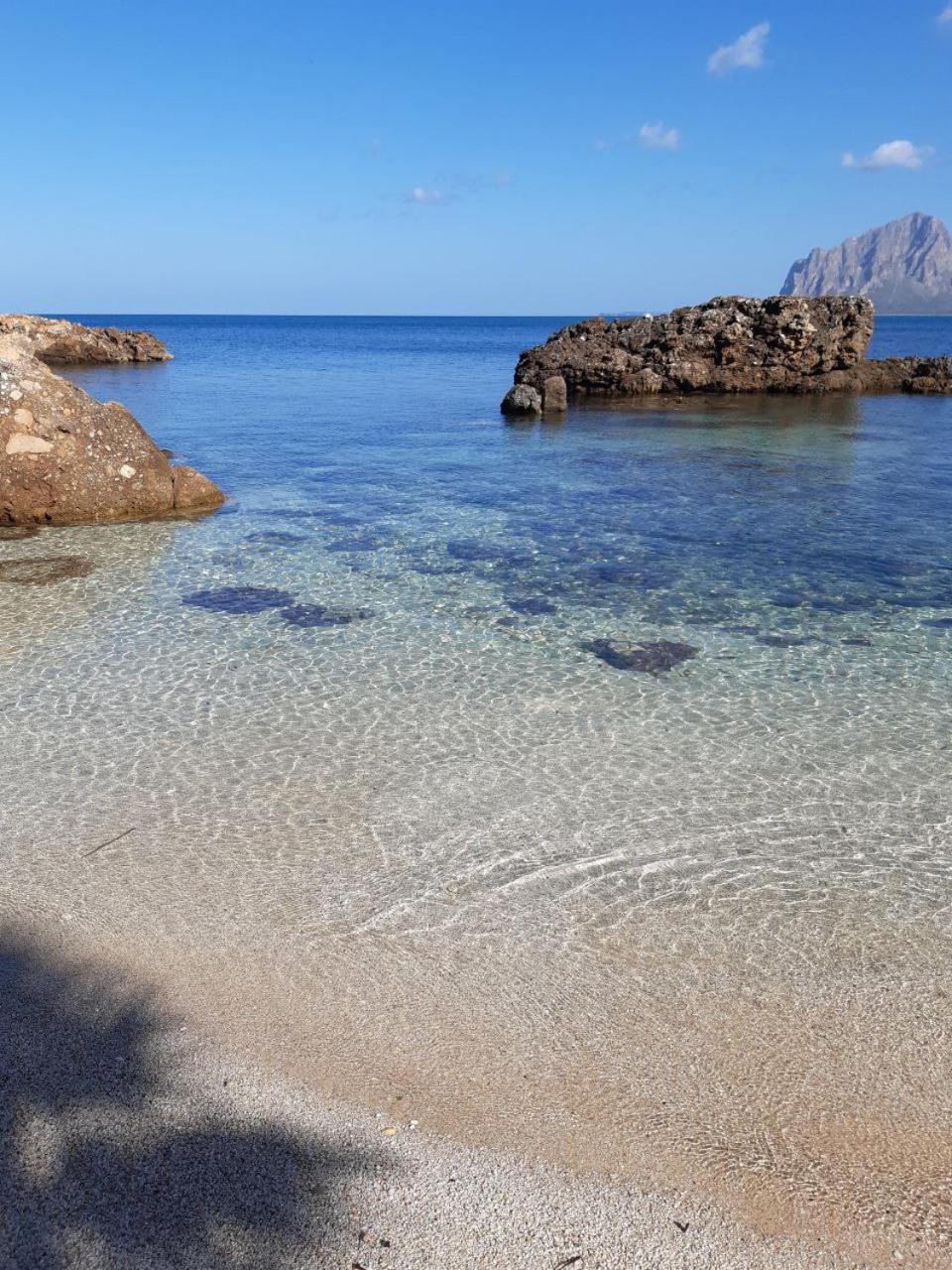 Il Colore Del Mare Tonnara di Bonagia Eksteriør billede